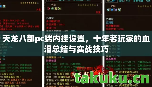 十年老玩家的血泪总结与实战技巧图片