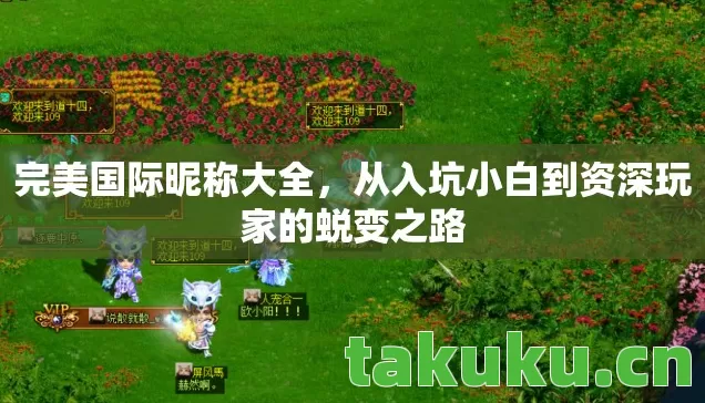 从入坑小白到资深玩家的蜕变之路图片