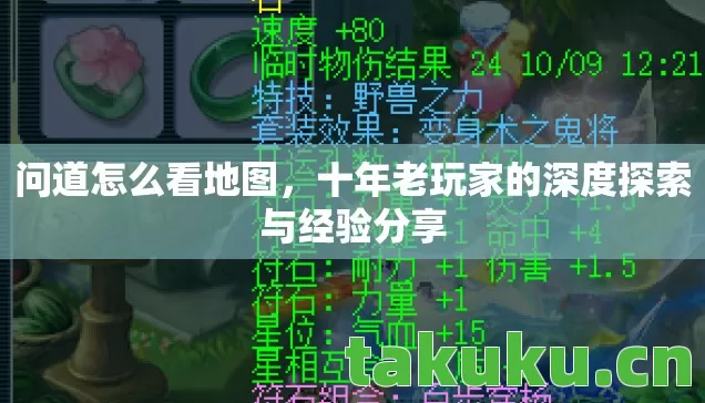 十年老玩家的深度探索与经验分享图片