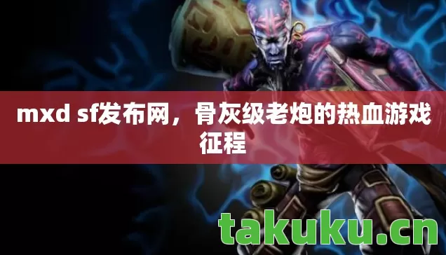 骨灰级老炮的热血游戏征程图片