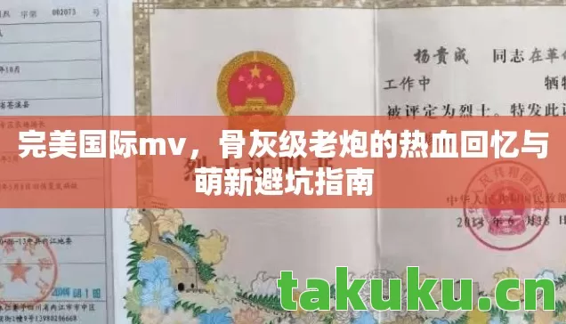 骨灰级老炮的热血回忆与萌新避坑指南图片