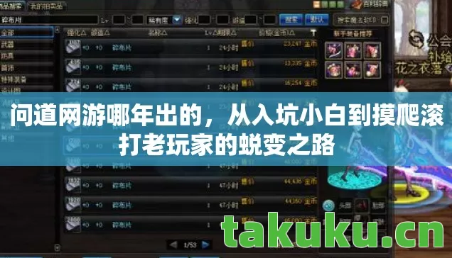 从入坑小白到摸爬滚打老玩家的蜕变之路图片