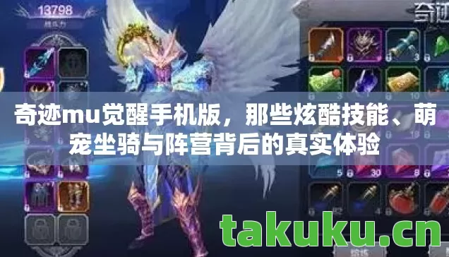 萌宠坐骑与阵营背后的真实体验图片