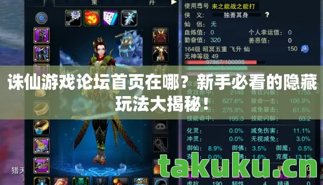 新手必看的隐藏玩法大揭秘图片