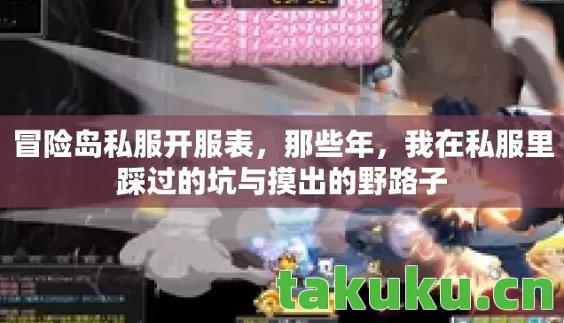 冒险岛私服开服表，那些年，我在私服里踩过的坑与摸出的野路子