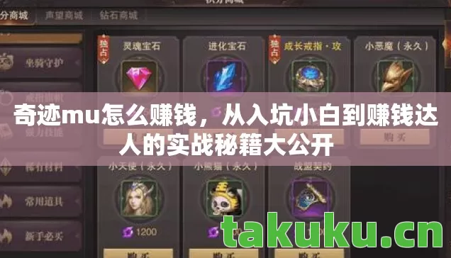 从入坑小白到赚钱达人的实战秘籍大公开图片
