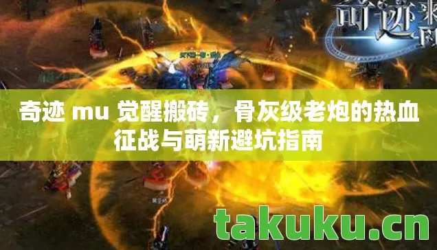 骨灰级老炮的热血征战与萌新避坑指南图片