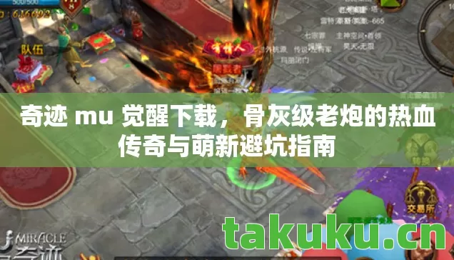 骨灰级老炮的热血传奇与萌新避坑指南图片