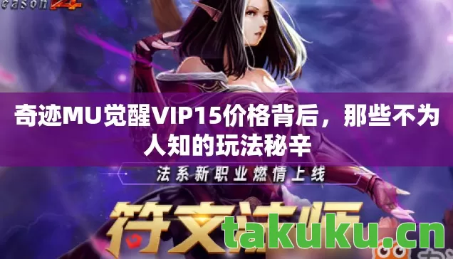 奇迹MU觉醒VIP15价格背后图片