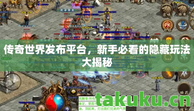 新手必看的隐藏玩法大揭秘图片