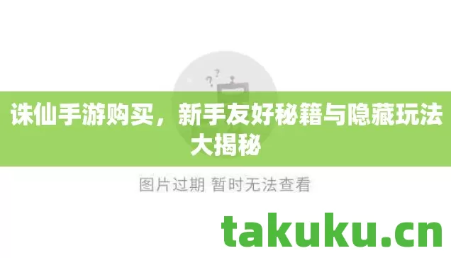 诛仙手游购买,新手友好秘籍与隐藏玩法大揭秘 诛仙手游购买,新手友好秘籍与隐藏玩法大揭秘
