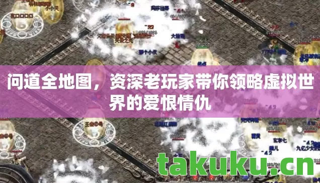 资深老玩家带你领略虚拟世界的爱恨情仇图片