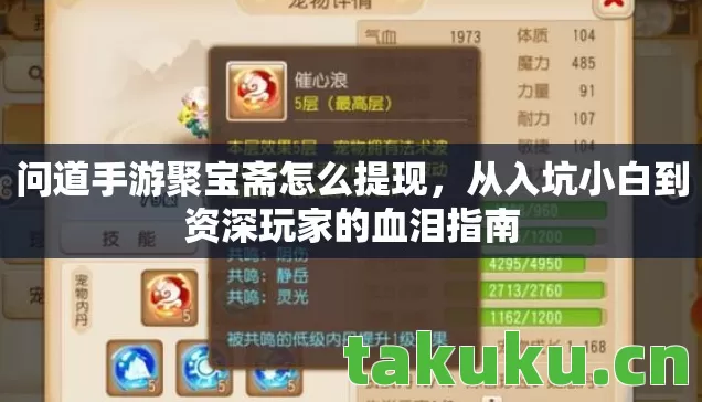 从入坑小白到资深玩家的血泪指南图片