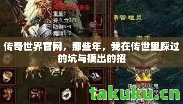 我在传世里踩过的坑与摸出的招图片