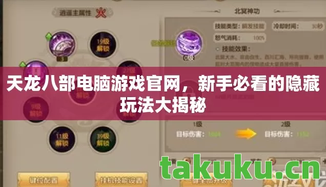 新手必看的隐藏玩法大揭秘图片