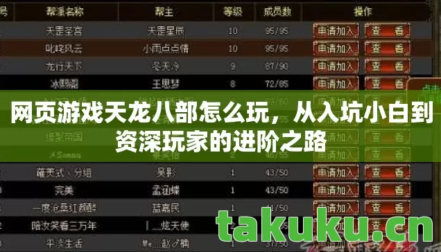 从入坑小白到资深玩家的进阶之路图片