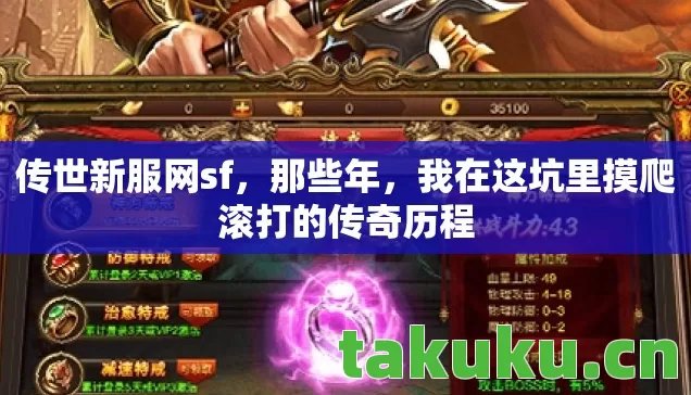 传世新服网sf，那些年，我在这坑里摸爬滚打的传奇历程