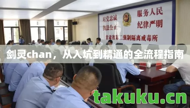 剑灵chan，从入坑到精通的全流程指南
