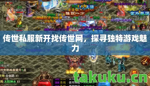 传世私服新开找传世网，探寻独特游戏魅力