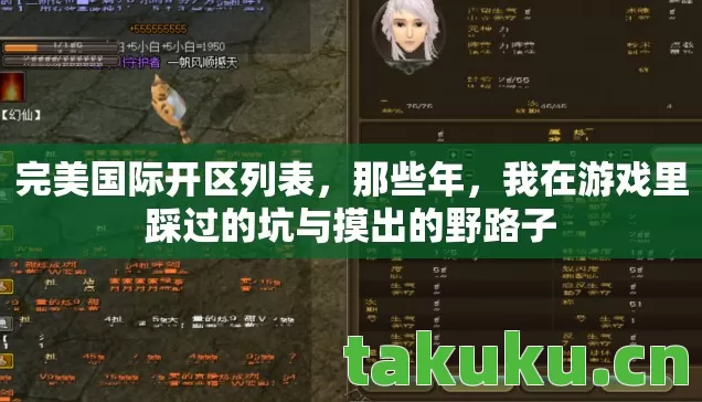 完美国际开区列表，那些年，我在游戏里踩过的坑与摸出的野路子