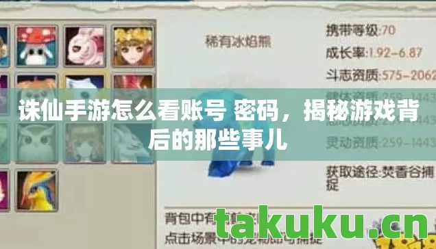 诛仙手游怎么看账号 密码,揭秘游戏背后的那些事儿 诛仙手游怎么看账号 密码,揭秘游戏背后的那些事儿