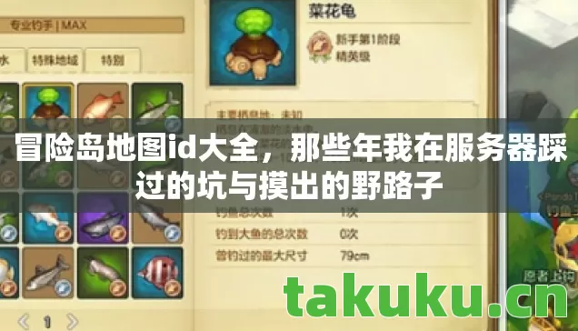 冒险岛地图id大全，那些年我在服务器踩过的坑与摸出的野路子