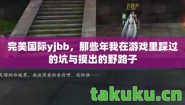 完美国际yjbb，那些年我在游戏里踩过的坑与摸出的野路子
