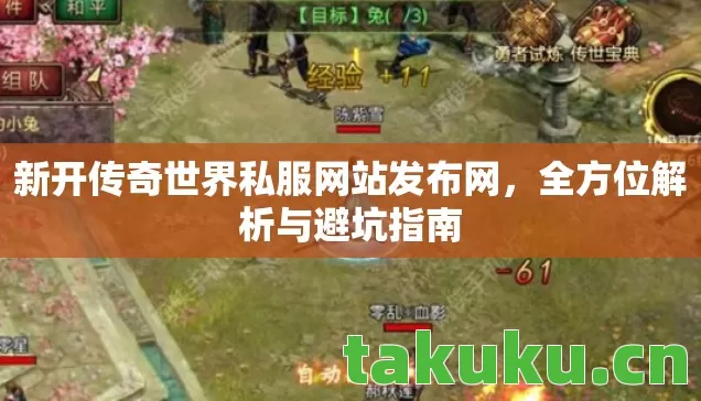 新开传奇世界私服网站发布网，全方位解析与避坑指南