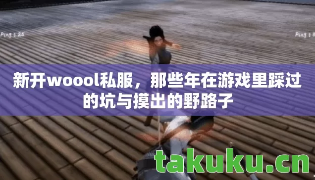 新开woool私服，那些年在游戏里踩过的坑与摸出的野路子