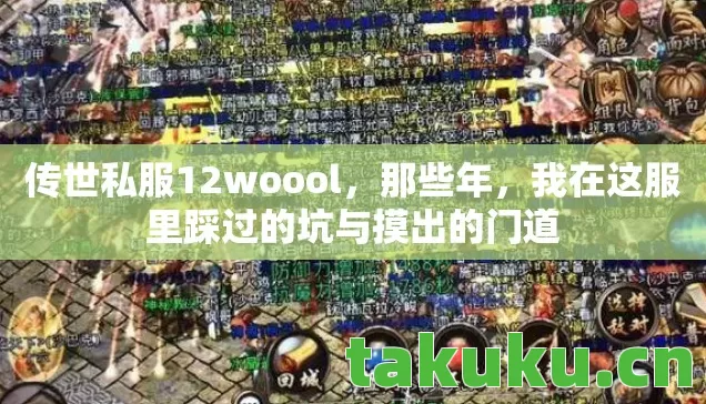 传世私服12woool，那些年，我在这服里踩过的坑与摸出的门道