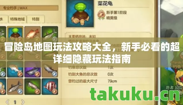 冒险岛地图玩法攻略大全，新手必看的超详细隐藏玩法指南