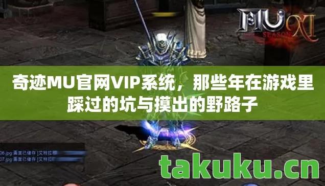 奇迹MU官网VIP系统，那些年在游戏里踩过的坑与摸出的野路子