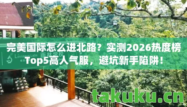完美国际怎么进北路？实测2026热度榜Top5高人气服，避坑新手陷阱！