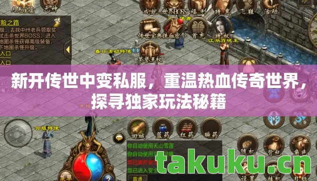 新开传世中变私服，重温热血传奇世界，探寻独家玩法秘籍