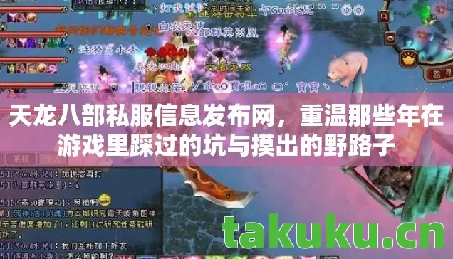 天龙八部私服信息发布网,重温那些年在游戏里踩过的坑与摸出的野路子 天龙八部私服信息发布网,重温那些年在游戏里踩过的坑与摸出的野路子