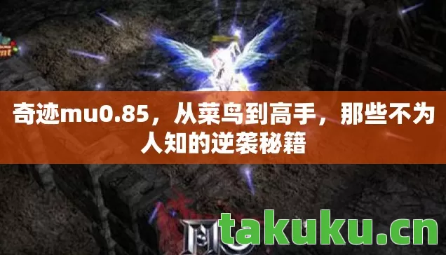 奇迹mu0.85,从菜鸟到高手,那些不为人知的逆袭秘籍 奇迹mu0.85,从菜鸟到高手,那些不为人知的逆袭秘籍