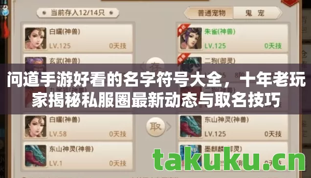 问道手游好看的名字符号大全,十年老玩家揭秘私服圈最新动态与取名技巧 问道手游好看的名字符号大全,十年老玩家揭秘私服圈最新动态与取名技巧