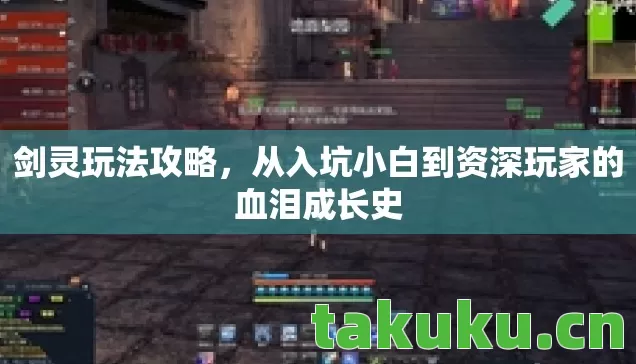 剑灵玩法攻略，从入坑小白到资深玩家的血泪成长史