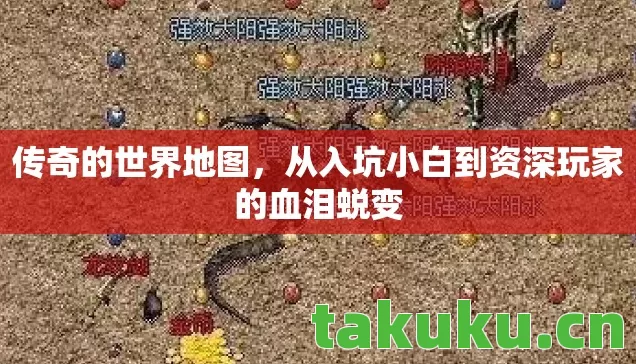 传奇的世界地图,从入坑小白到资深玩家的血泪蜕变 传奇的世界地图,从入坑小白到资深玩家的血泪蜕变