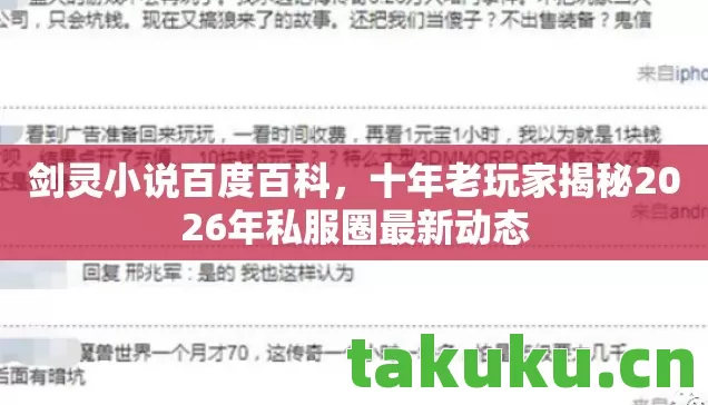 剑灵小说百度百科,十年老玩家揭秘2026年私服圈最新动态 剑灵小说百度百科,十年老玩家揭秘2026年私服圈最新动态