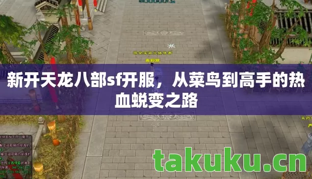 新开天龙八部sf开服，从菜鸟到高手的热血蜕变之路