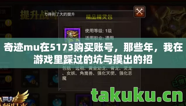 奇迹mu在5173购买账号，那些年，我在游戏里踩过的坑与摸出的招