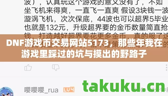 DNF游戏币交易网站5173，那些年我在游戏里踩过的坑与摸出的野路子