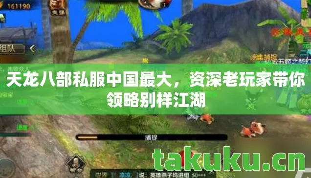 天龙八部私服中国最大,资深老玩家带你领略别样江湖 天龙八部私服中国最大,资深老玩家带你领略别样江湖