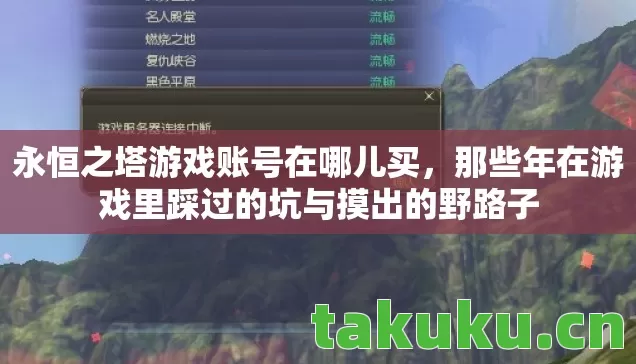 永恒之塔游戏账号在哪儿买,那些年在游戏里踩过的坑与摸出的野路子 永恒之塔游戏账号在哪儿买,那些年在游戏里踩过的坑与摸出的野路子