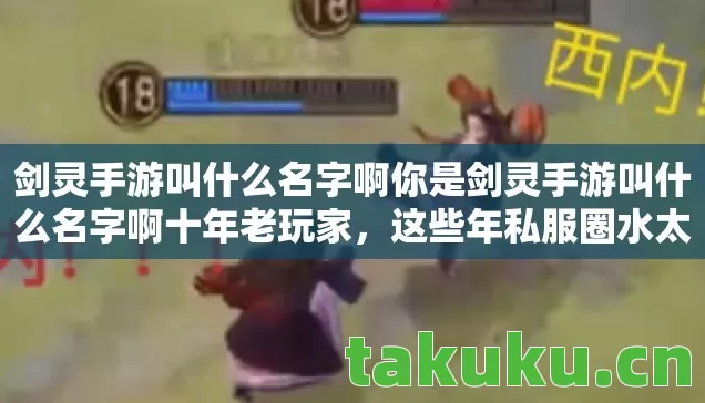 剑灵手游叫什么名字啊你是剑灵手游叫什么名字啊十年老玩家，这些年私服圈水太深！