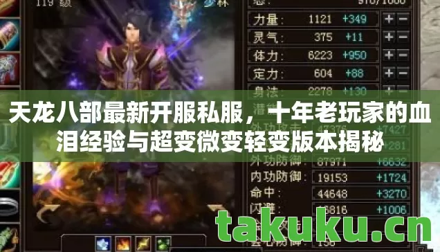 天龙八部最新开服私服,十年老玩家的血泪经验与超变微变轻变版本揭秘 天龙八部最新开服私服,十年老玩家的血泪经验与超变微变轻变版本揭秘