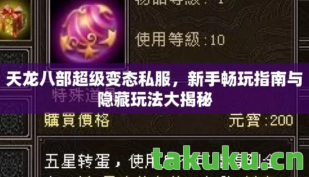 天龙八部超级变态私服，新手畅玩指南与隐藏玩法大揭秘