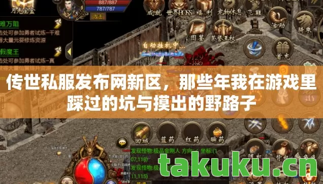 传世私服发布网新区，那些年我在游戏里踩过的坑与摸出的野路子