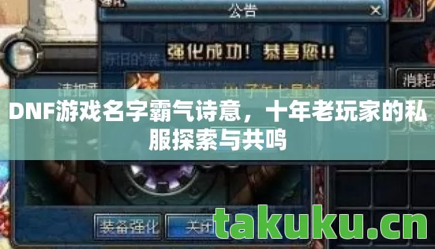 DNF游戏名字霸气诗意,十年老玩家的私服探索与共鸣 DNF游戏名字霸气诗意,十年老玩家的私服探索与共鸣